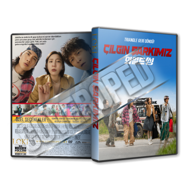 Çılgın Şarkımız - Waildeu Ssing - 2026 Türkçe Dvd Cover Tasarımı
